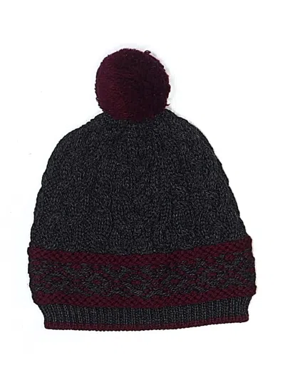 Pre-owned Assorted Brands Beanie Hat In Gray