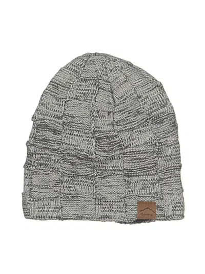 Pre-owned Assorted Brands Beanie Hat In Gray