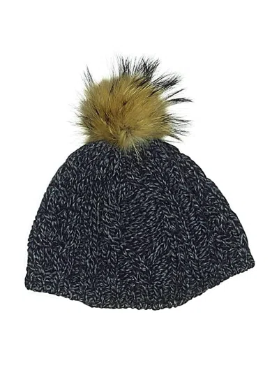 Pre-owned Assorted Brands Beanie Hat In Gray