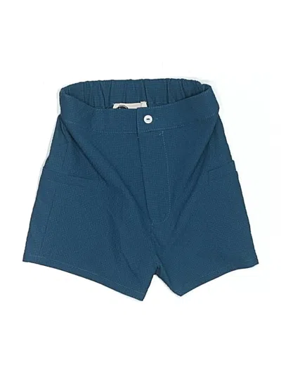 Pre-owned Assorted Brands Kids' Board Shorts In Blue