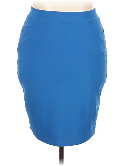 Pre-owned Assorted Brands Casual Skirt In Blue