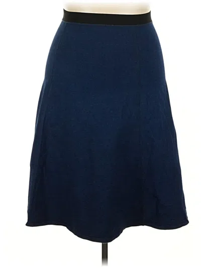 Pre-owned Assorted Brands Casual Skirt In Blue