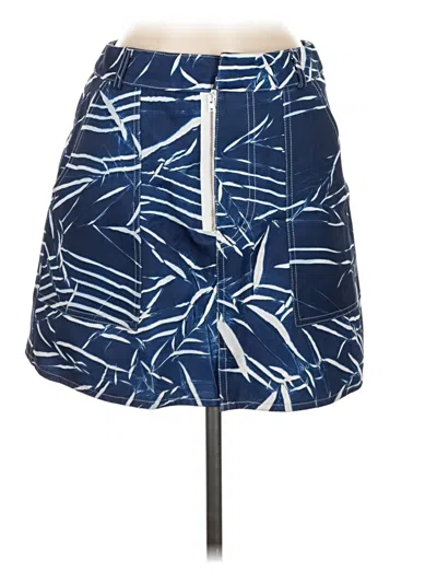 Assorted Brands Casual Skirt In Blue