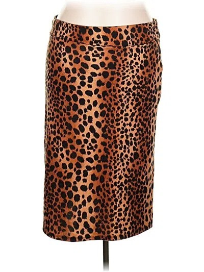 Pre-owned Assorted Brands Casual Skirt In Brown