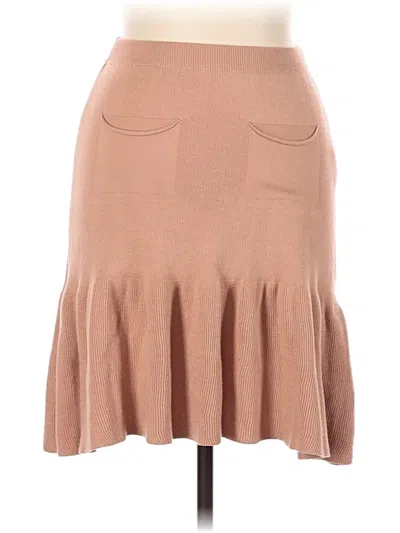 Assorted Brands Casual Skirt In Brown