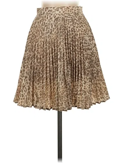 Pre-owned Assorted Brands Casual Skirt In Brown