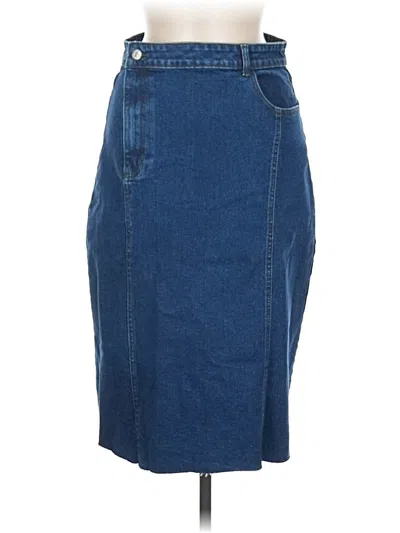Assorted Brands Denim Skirt In Blue