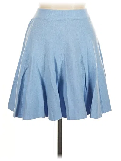 Pre-owned Assorted Brands Denim Skirt In Blue