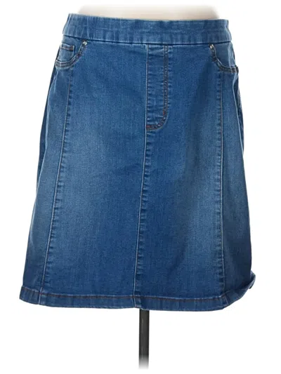Pre-owned Assorted Brands Denim Skirt In Blue