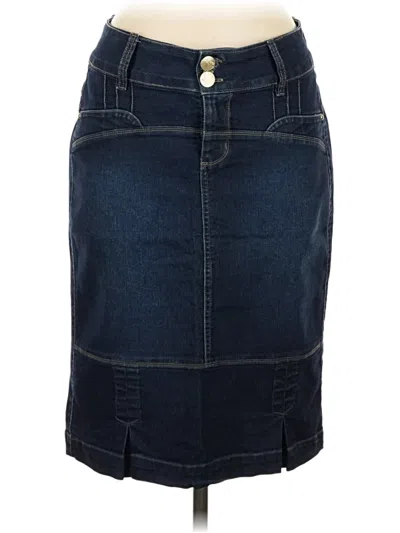 Pre-owned Assorted Brands Denim Skirt In Blue