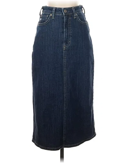 Pre-owned Assorted Brands Denim Skirt In Blue