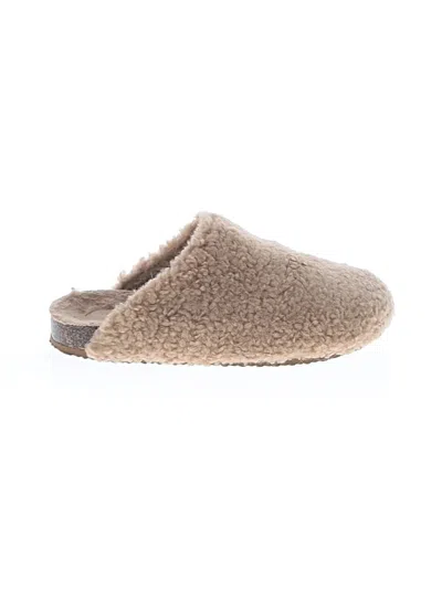 Pre-owned Assorted Brands Flats In Brown