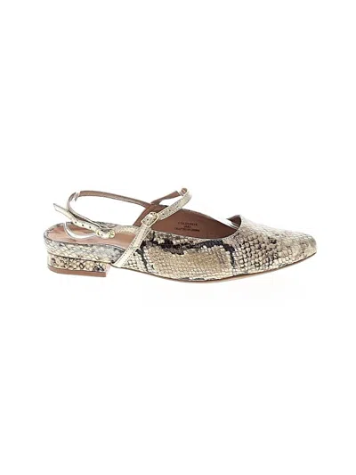 Pre-owned Assorted Brands Flats In White