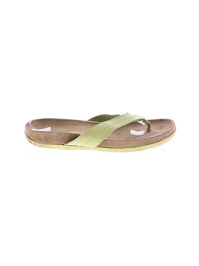 Pre-owned Assorted Brands Flip Flops In Green