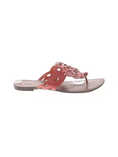 Pre-owned Assorted Brands Flip Flops In Pink
