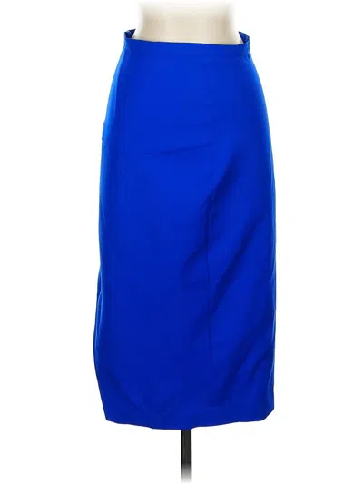 Pre-owned Assorted Brands Formal Skirt In Blue