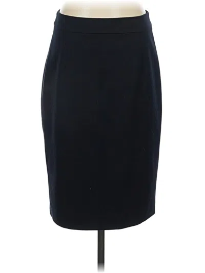 Pre-owned Assorted Brands Formal Skirt In Blue
