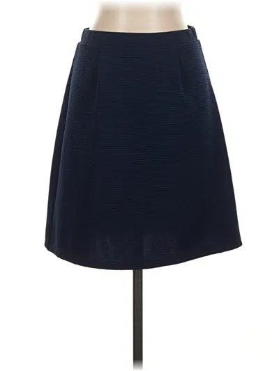 Pre-owned Assorted Brands Formal Skirt In Blue