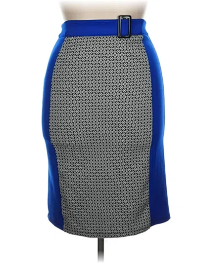 Pre-owned Assorted Brands Formal Skirt In Blue