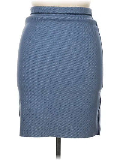 Pre-owned Assorted Brands Formal Skirt In Blue