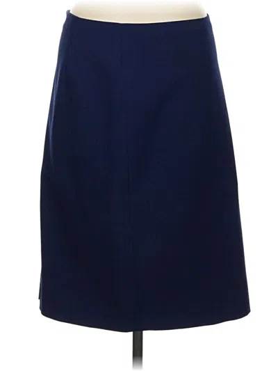 Pre-owned Assorted Brands Formal Skirt In Blue