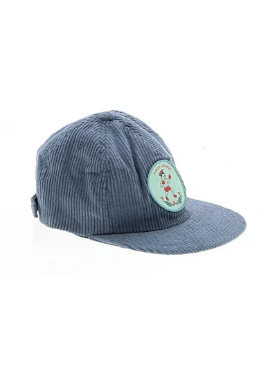 Pre-owned Assorted Brands Hat In Blue