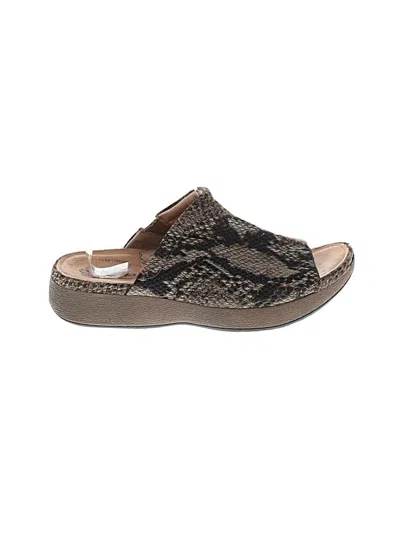 Pre-owned Assorted Brands Mule/clog In Brown