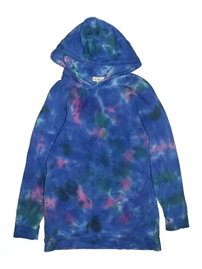 Pre-owned Assorted Brands Kids' Pullover Hoodie In Blue
