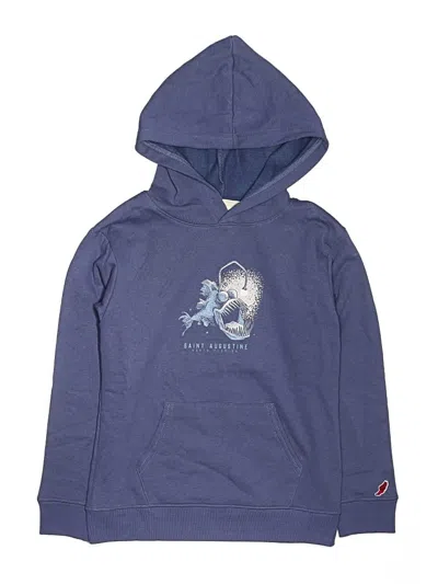 Pre-owned Assorted Brands Kids' Pullover Hoodie In Blue