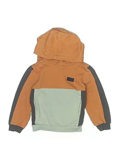 Pre-owned Assorted Brands Kids' Pullover Hoodie In Brown