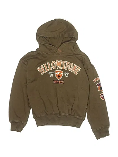 Pre-owned Assorted Brands Kids' Pullover Hoodie In Brown
