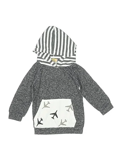 Pre-owned Assorted Brands Babies' Pullover Hoodie In Gray