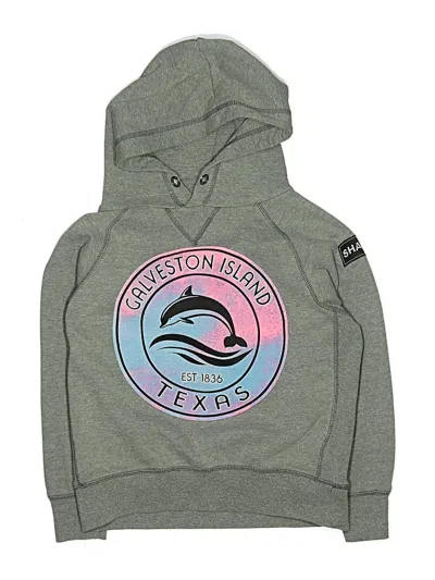 Pre-owned Assorted Brands Kids' Pullover Hoodie In Gray