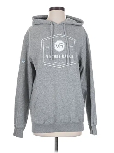 Pre-owned Assorted Brands Pullover Hoodie In Gray