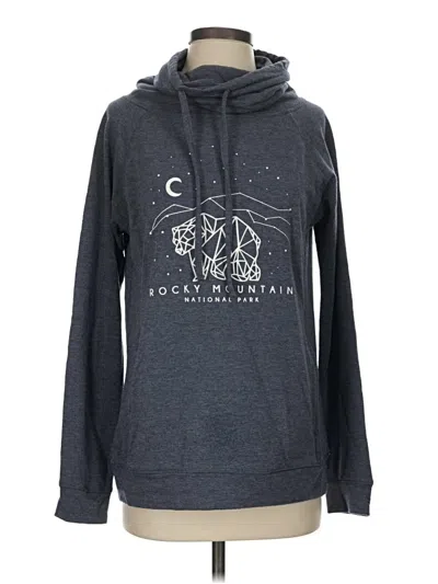 Pre-owned Assorted Brands Pullover Hoodie In Gray