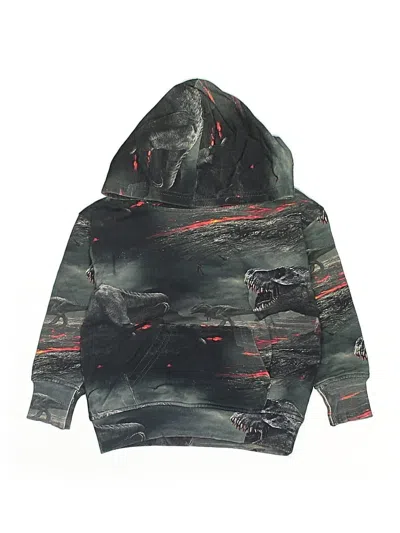 Pre-owned Assorted Brands Kids' Pullover Hoodie In Green