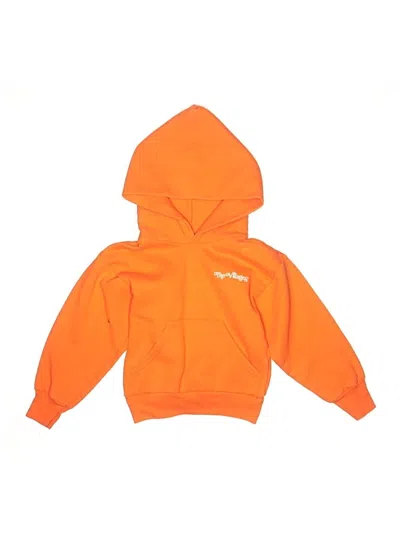 Pre-owned Assorted Brands Kids' Pullover Hoodie In Orange