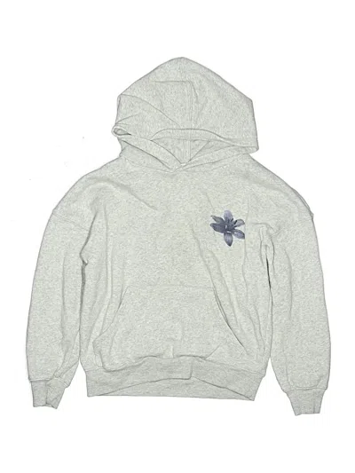 Pre-owned Assorted Brands Kids' Pullover Hoodie In Silver