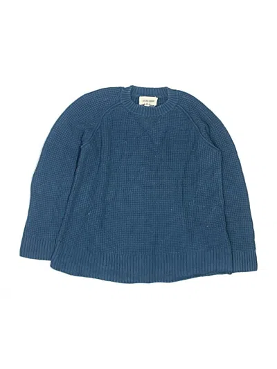 Pre-owned Assorted Brands Kids' Pullover Sweater In Blue
