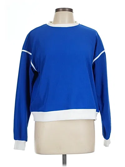 Assorted Brands Pullover Sweater In Blue
