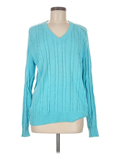 Pre-owned Assorted Brands Pullover Sweater In Blue