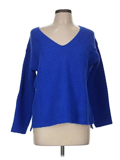 Pre-owned Assorted Brands Pullover Sweater In Blue