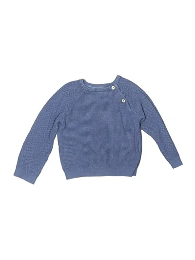 Pre-owned Assorted Brands Kids' Pullover Sweater In Blue