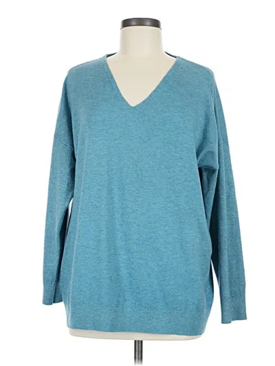 Pre-owned Assorted Brands Pullover Sweater In Blue
