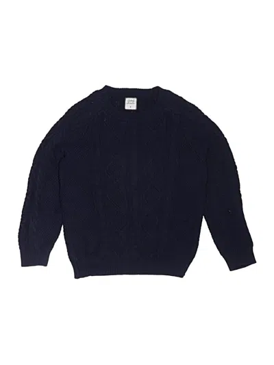 Pre-owned Assorted Brands Kids' Pullover Sweater In Blue