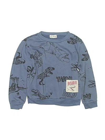 Pre-owned Assorted Brands Kids' Pullover Sweater In Blue