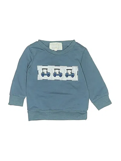 Pre-owned Assorted Brands Babies' Pullover Sweater In Blue