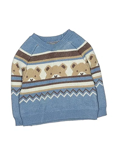Pre-owned Assorted Brands Babies' Pullover Sweater In Blue