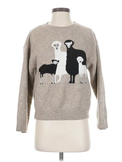 Pre-owned Assorted Brands Pullover Sweater In Brown