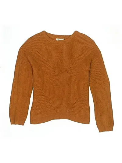 Pre-owned Assorted Brands Kids' Pullover Sweater In Brown